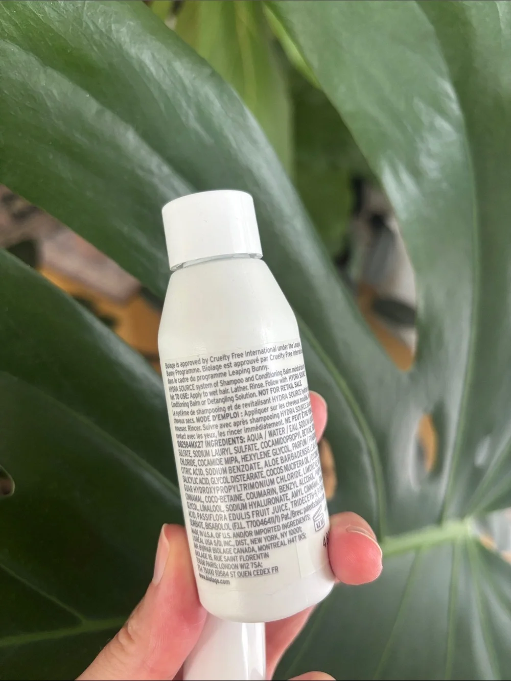 Bolage Hydra Source Hydrating Shampoo Hydration Concentrate Aloe Hyaluronic Acid